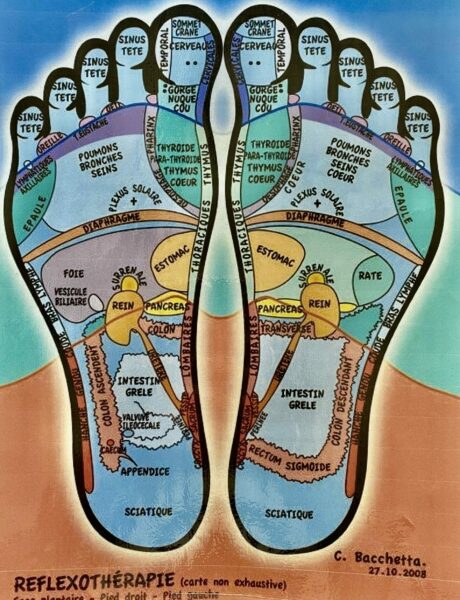 carte-plantaire-reflexotherapie